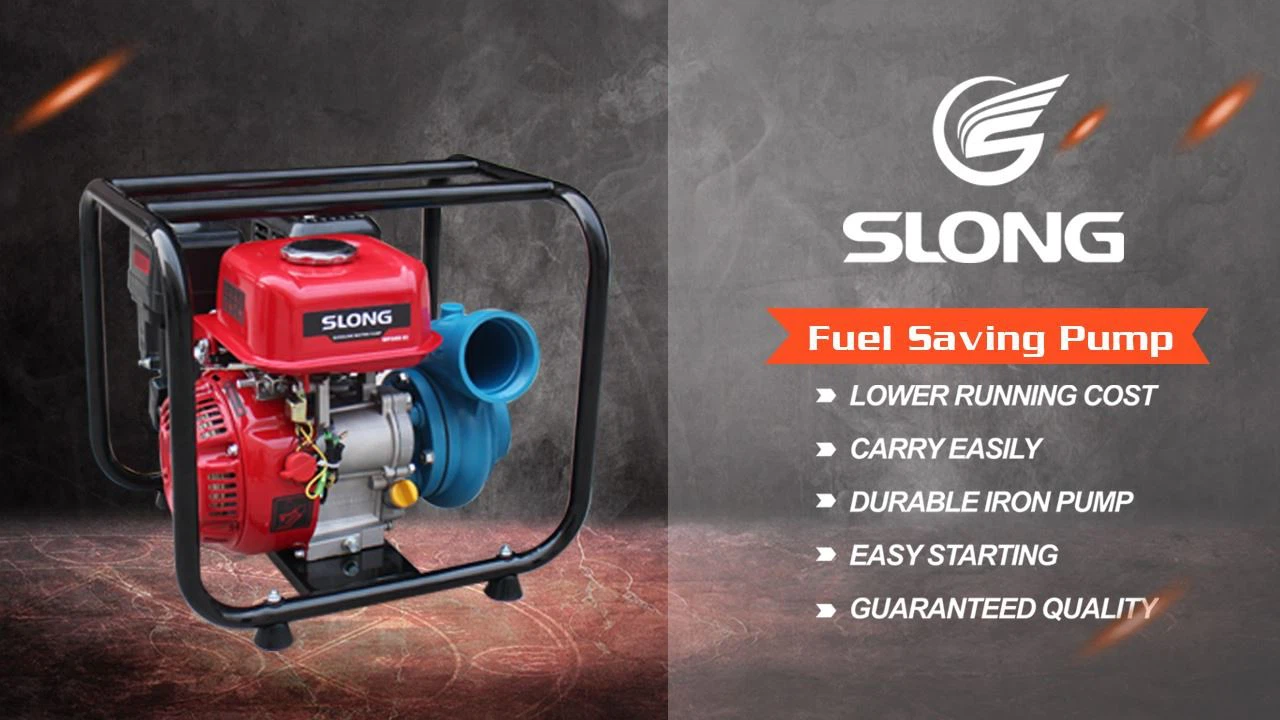 142218068_138580774755283_7540372645806919118_n 142218068_138580774755283_7540372645806919118_n